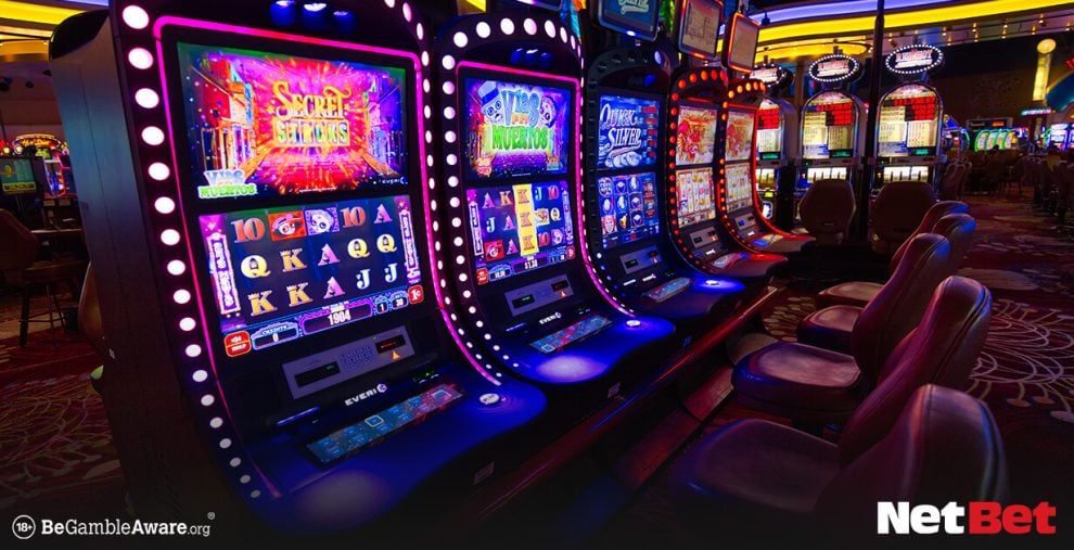 bollexjogo - Login Bet Cassino